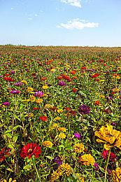 Funcom与NUKKLEAR合作 为《沙丘》游戏开发载具系统